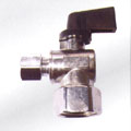 GBSS